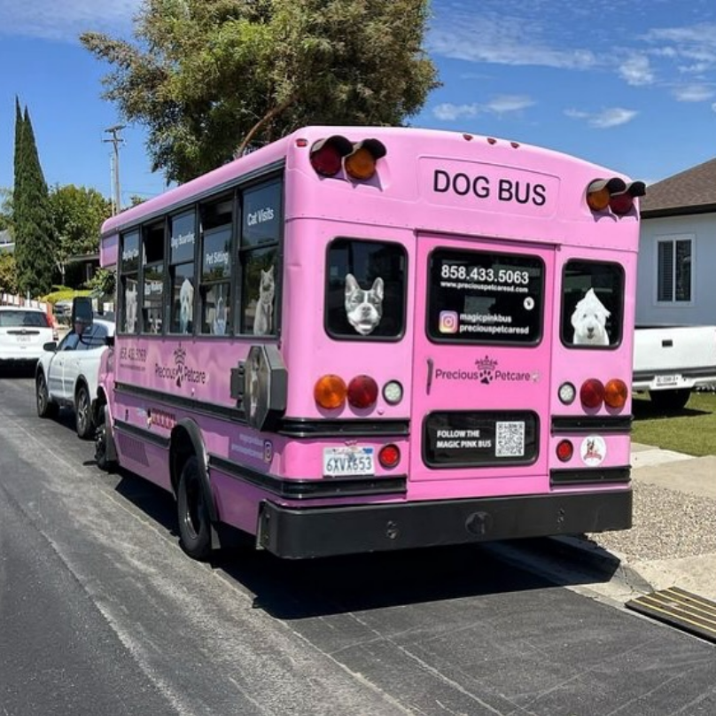 Pink pet care bus labeled "DOG BUS" parked on a residential street, decorated with dog illustrations and branding for Precious Petcare, including contact info and service offerings