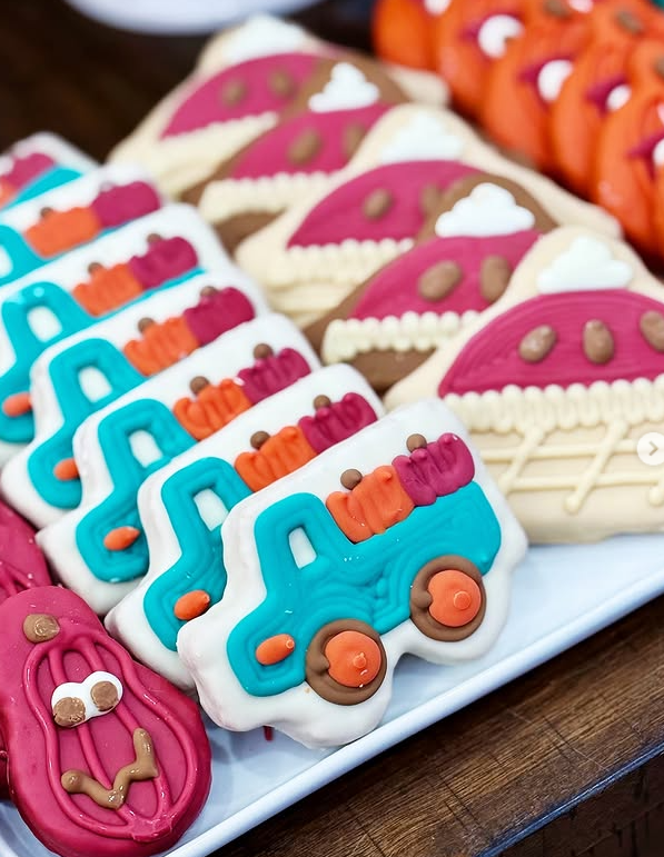 Home 49 Woof Gang Bakery & Grooming – Encinitas