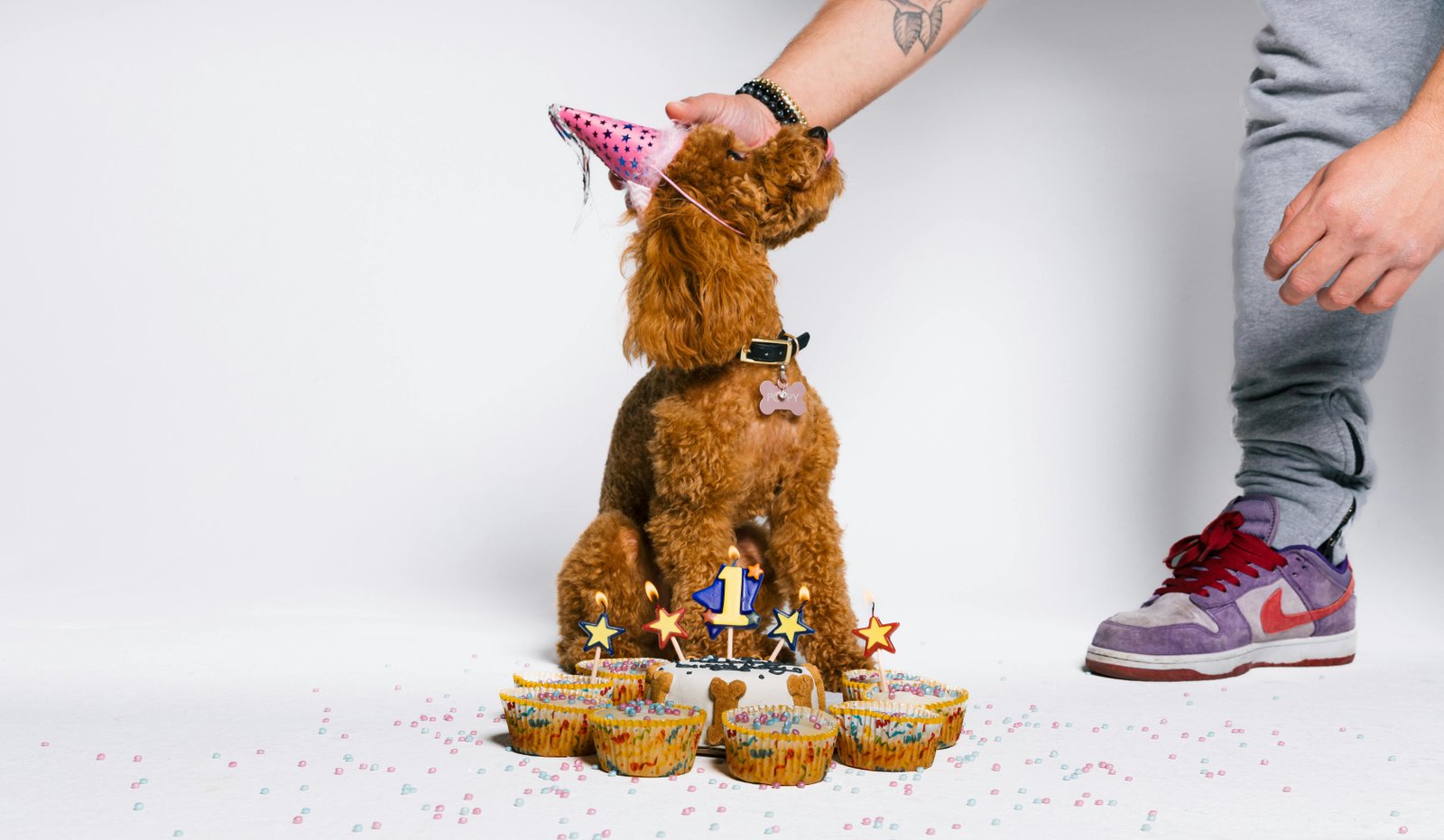 Home 63 San Diego Dog Birthday Cakes