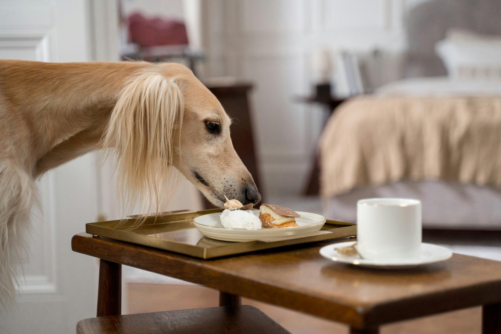 Home 57 Original Paw Pleasers Dog Bakery