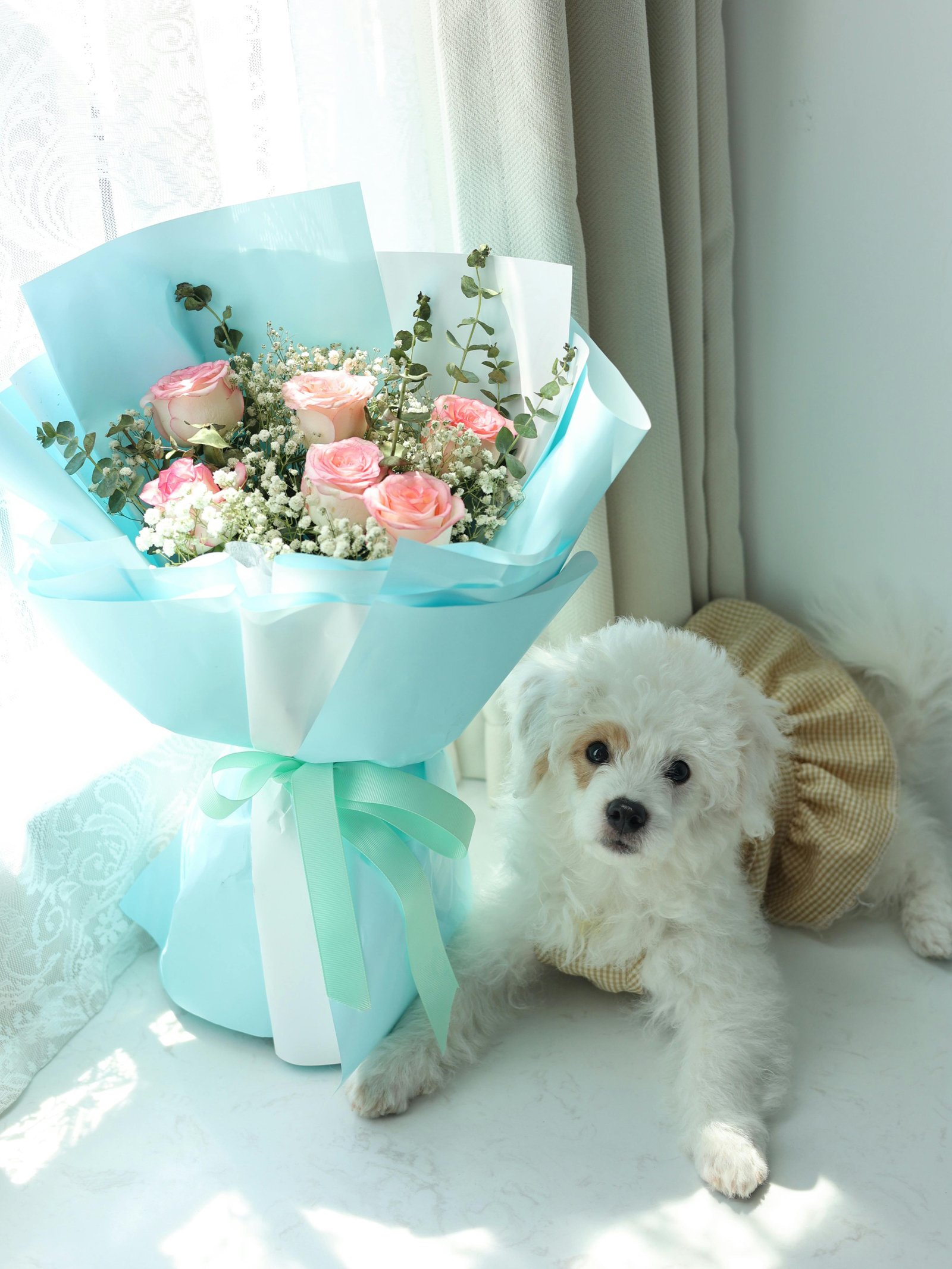 White fluffy puppy in a dress lying beside a pastel bouquet of pink roses