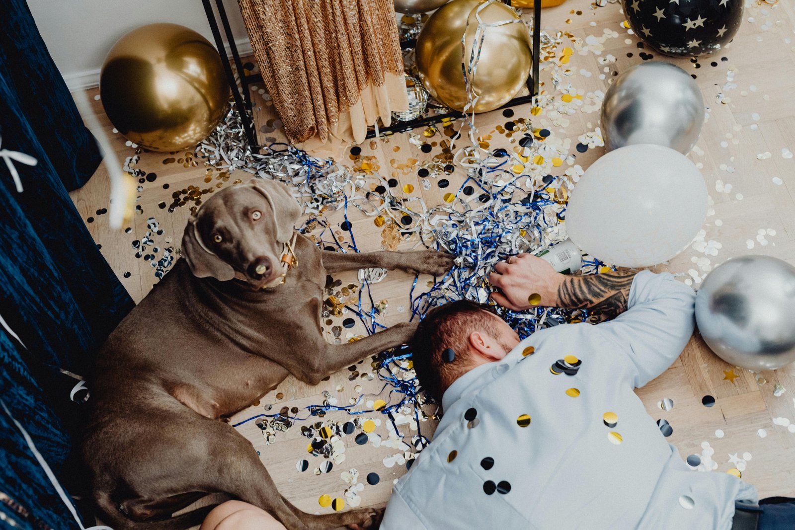 Balloon Decor That Works for Pets, And What to Avoid